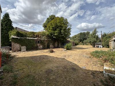Picture 17